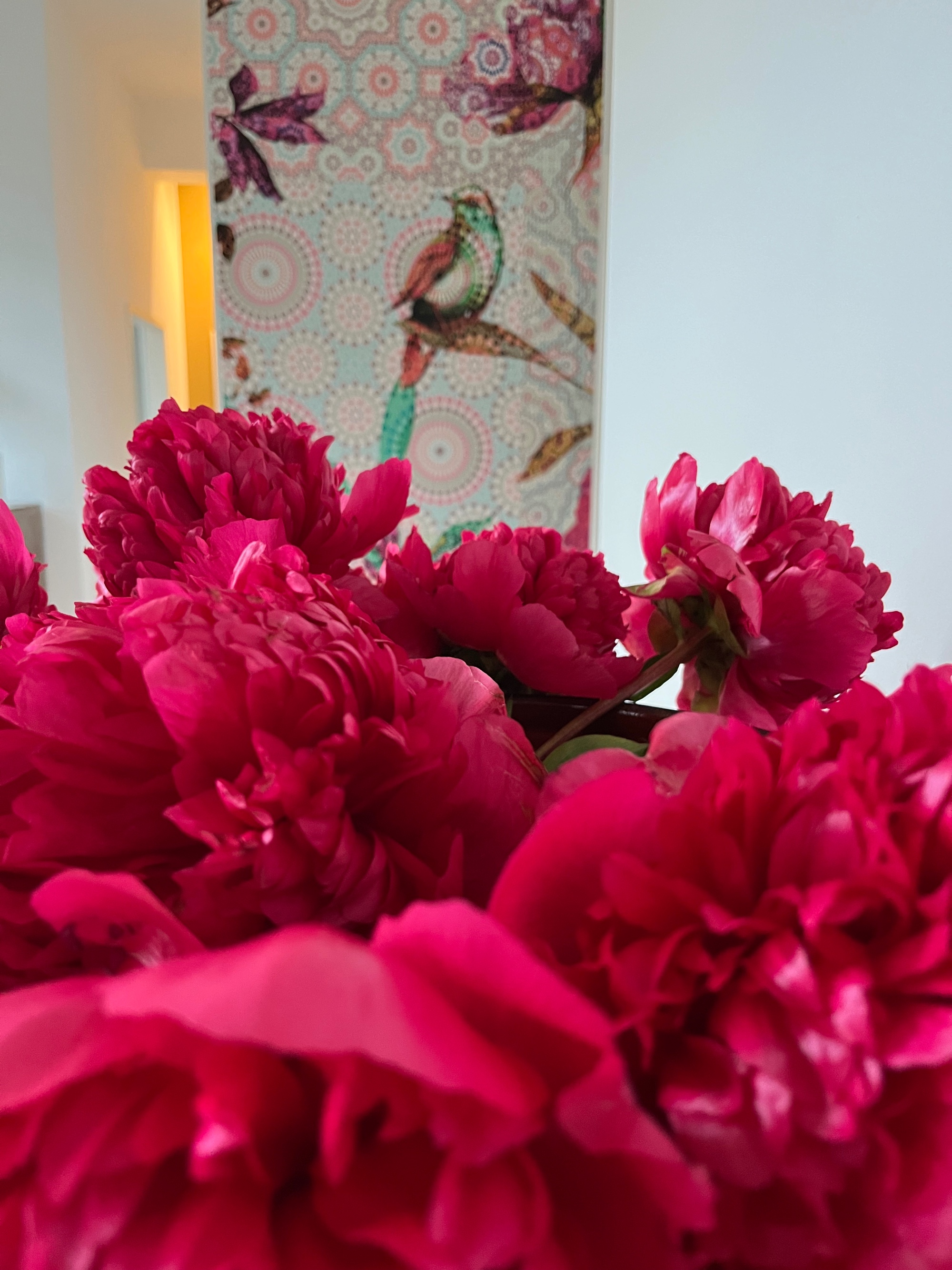 Yogagutscheine zu Verschenken